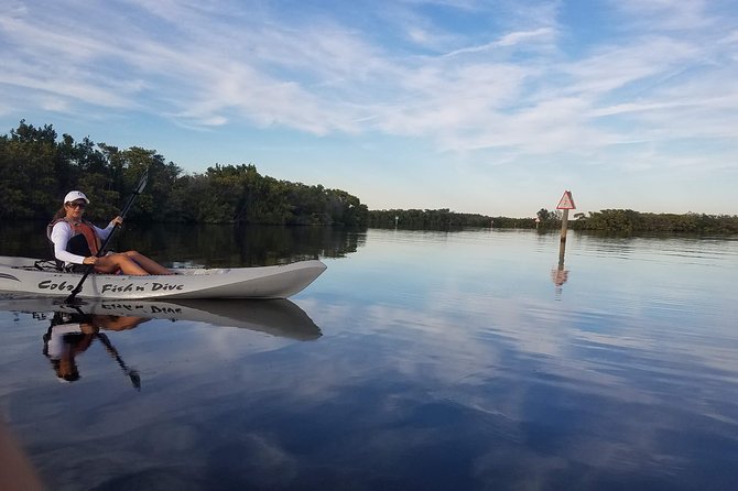 Mangrove Tunnels, Dolphins, Manatee Tour #1 Rated in Cocoa Beach - Positive Customer Feedback