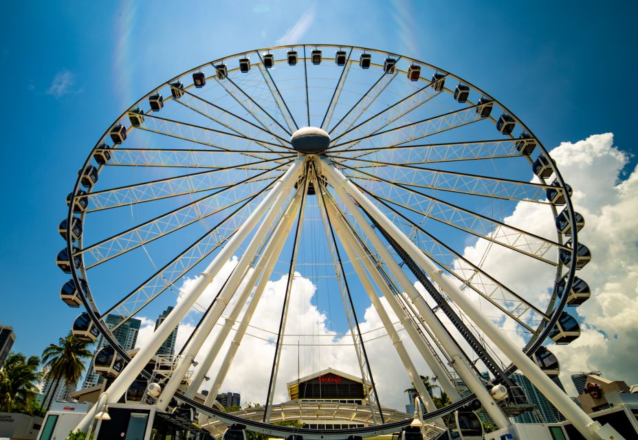 Miami: Skyviews Miami Observation Wheel Flexible Date Ticket - Age and Service Animal Guidelines