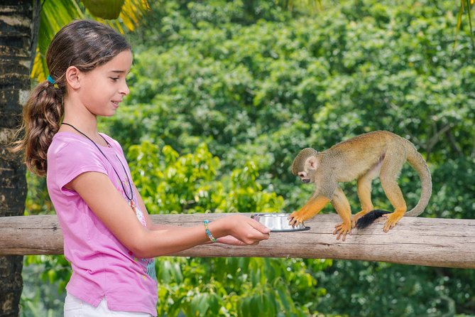 Monkeyland and Plantation Safari From La Romana - Sustainable Practices for Monkeys