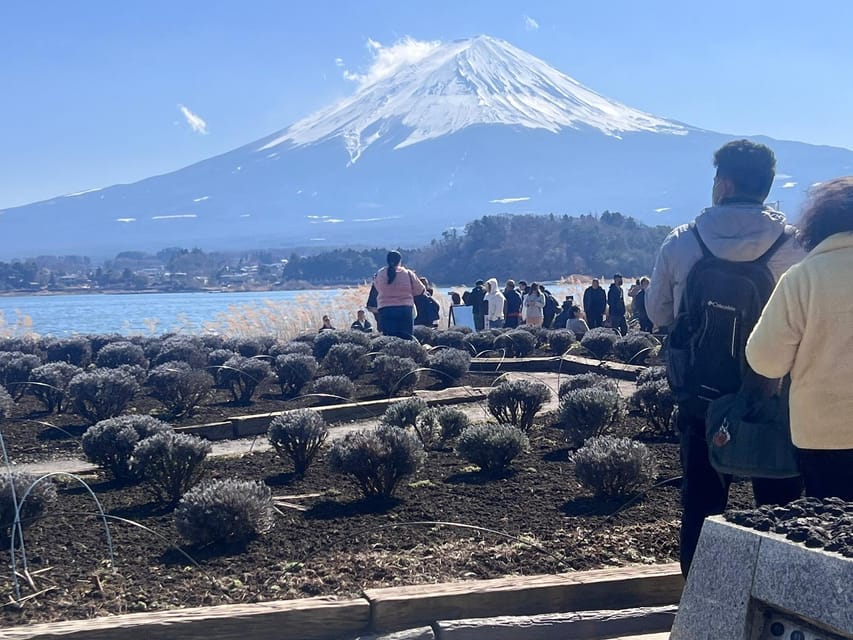 Mount Fuji,Hakone Private Tour by Car With Pick up - Customer Feedback