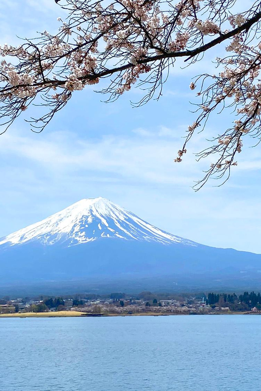 Mt Fuji: Full Day Private Tour From Tokyo by Luxury Vehicle - Exploring Natures Wonders