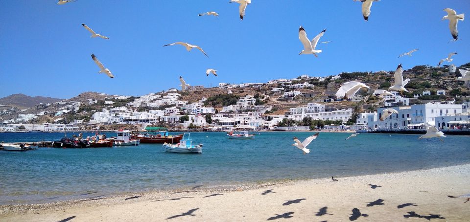 Mykonos: Highlights Tour With Panagia Tourliani Monastery - Pickup and Drop-off Arrangements