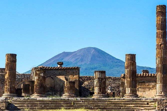 Naples: Pompeii, Herculaneum, and Vesuvius Tour by Minivan - Onsite Assistance