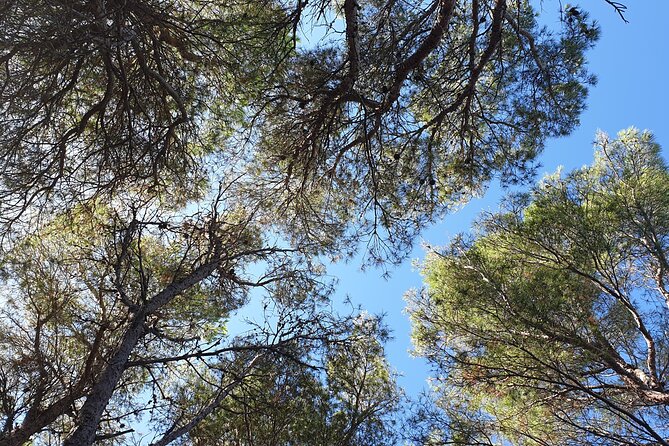 Naturalistic Excursion to Ustica - Inclement Weather Considerations