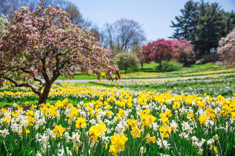 Nyc: New York Botanical All-Garden Pass Entry Ticket - Visitor Information and Reviews