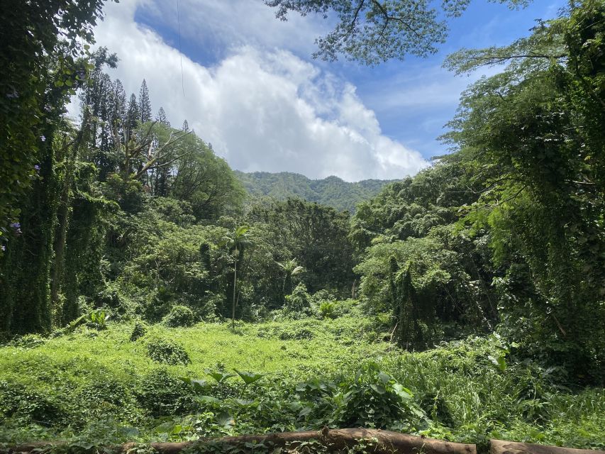 Oahu: Mānoa Falls Trail Hiking Shuttle - Frequently Asked Questions