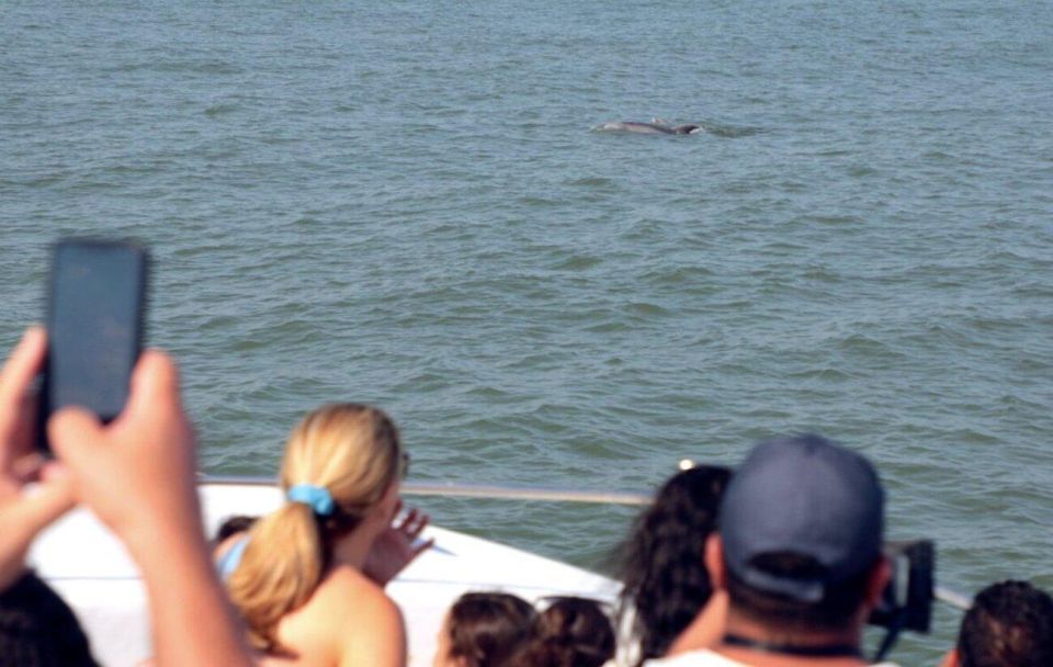 Ocean City, Md: Coastal Speedboat Tour With Dolphin Spotting - Local Geography and Wildlife