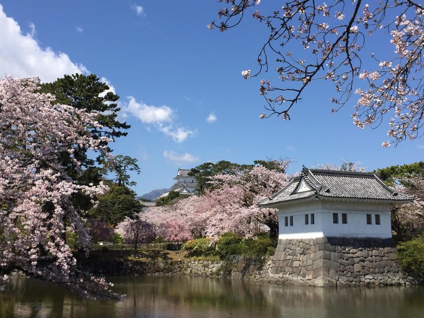 Odawara: Zazen Meditation and Tea Ceremony Review - Meeting Point and Logistics