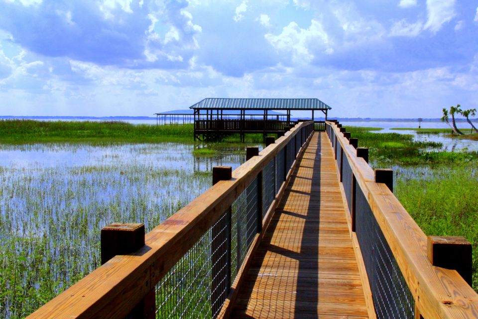 Orlando: Wild Florida Airboat Ride With Transport & Lunch - Pristine Cypress Swamp