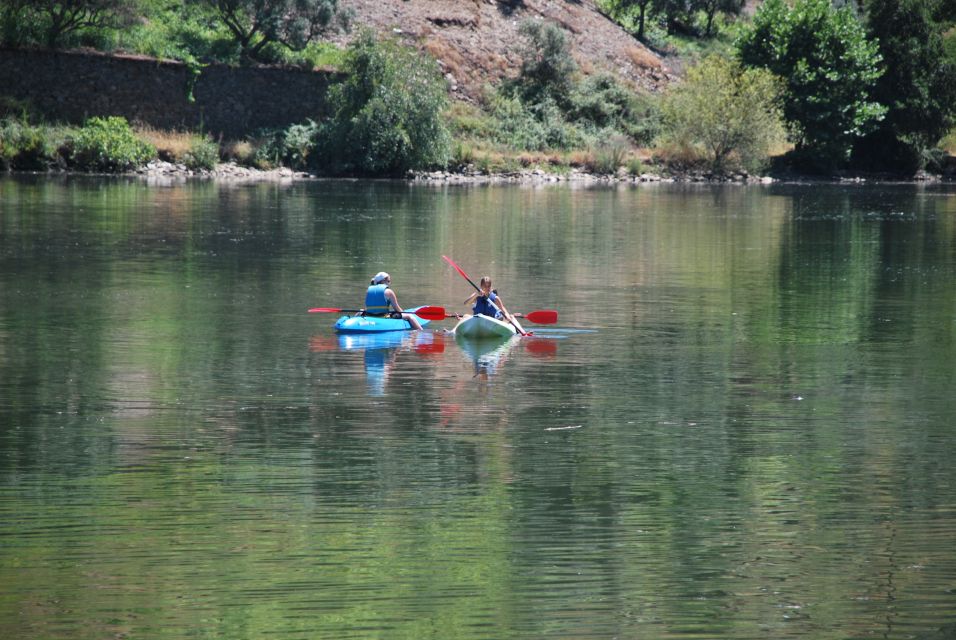 Pinhão: Douro Valley Rabelo Boat Tour and Kayak Experience - Scenic Views and Enjoyment