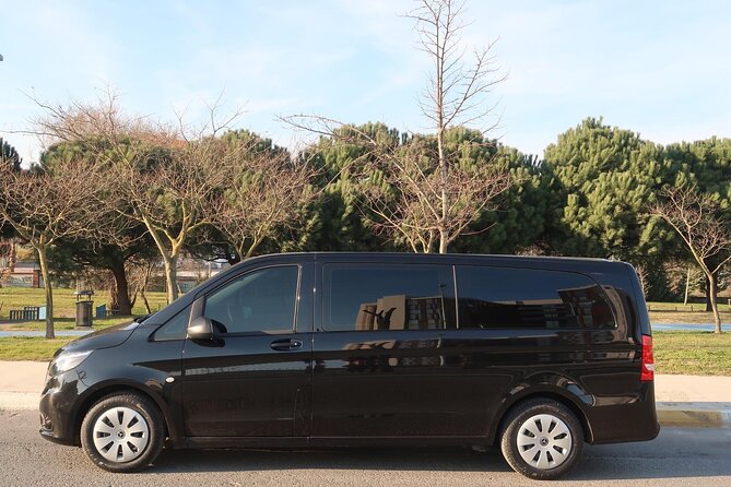 Private Airport Transfer in Istanbul - Tour Details and Participation