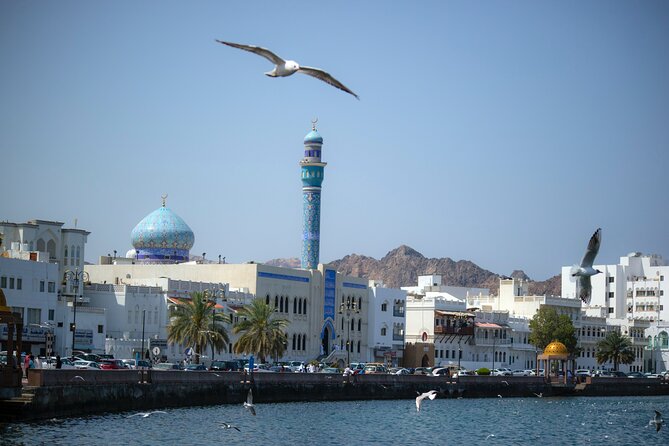 Private Half-day Tour in Muscat - Highlights of the Tour