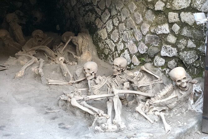 Private Tour: Pompeii Plus Herculaneum With Family Tour Option - Explore Pompeii and Herculaneum