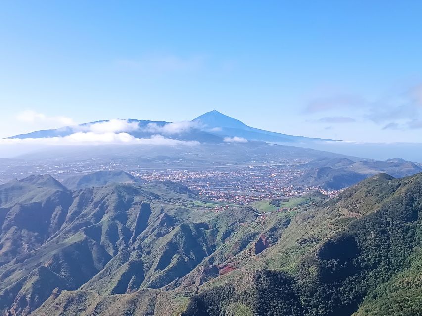 Puerto De La Cruz: Avatar Forest - Taganana - Teresitas + Cocktail - Scenic Views and Transition