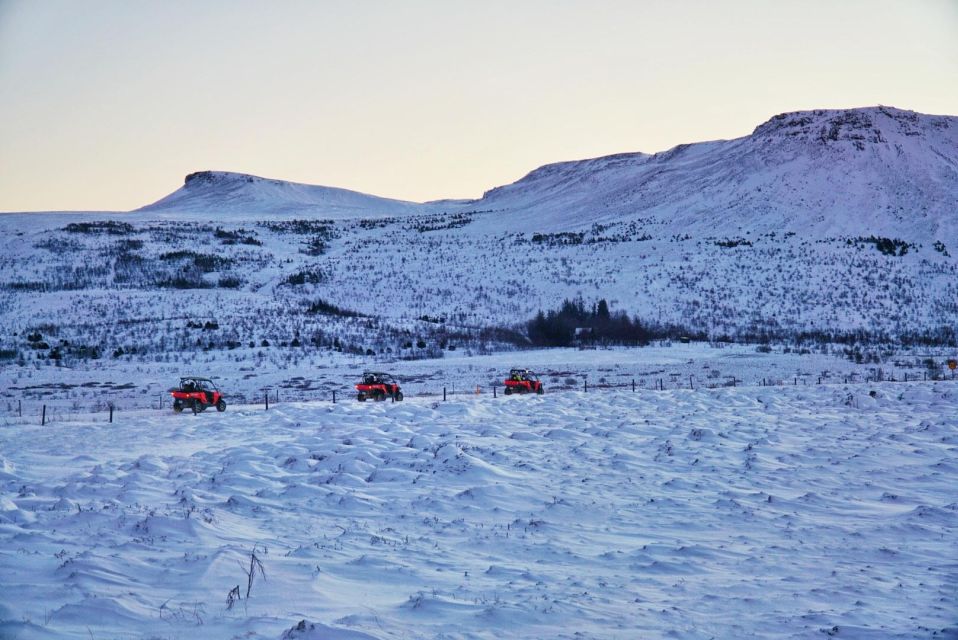 Reykjavik: Buggy Safari Tour With Hotel Transfers - Pricing and Booking Information