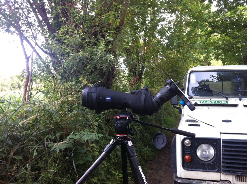 Ria De Aveiro: Birdwatching Tour (Full Day) - Transportation and Gear