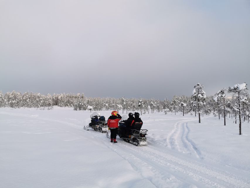 Rovaniemi: 3-Hour Snowmobile Safari in Lapland - Arctic Circle Exploration