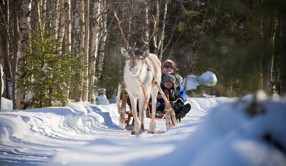 Rovaniemi: Daytime Reindeer Sleigh Ride With Hotel Pickup - Reindeer Farm Tour