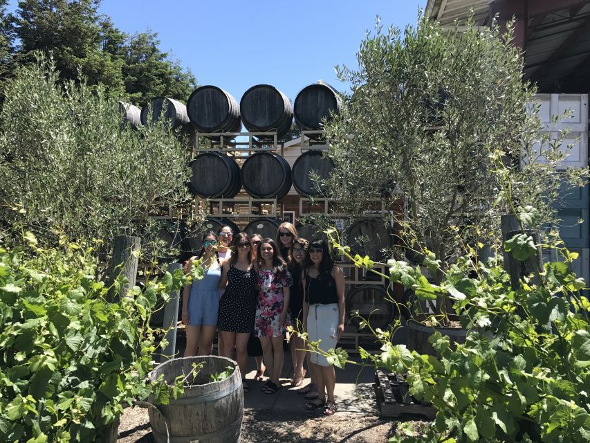 San Francisco: Small-Group Sonoma Wine Tour With Tastings - Lunch at Historic Sonoma Plaza