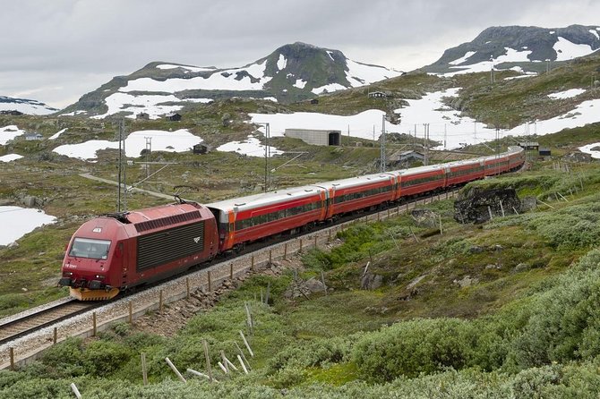 Self-Guided Day Tour - Premium Nærøyfjord Cruise & Flåm Railway - Riding the Iconic Flåm Railway