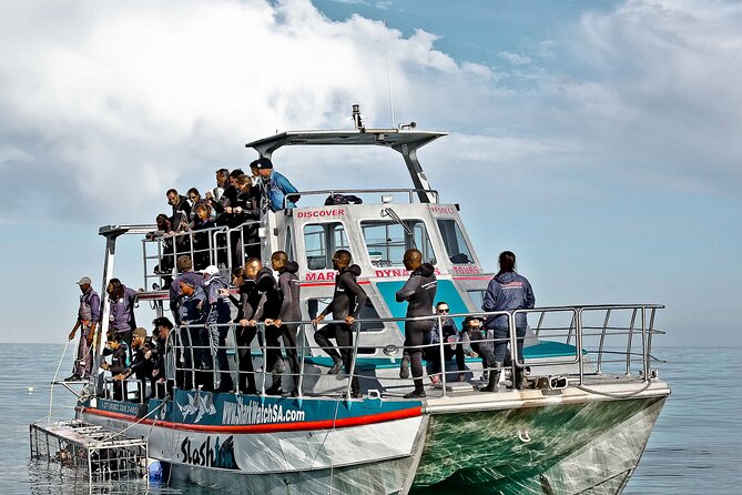 Shark Cage Diving and Viewing From Hermanus - Compulsory Conservation Fee Explained