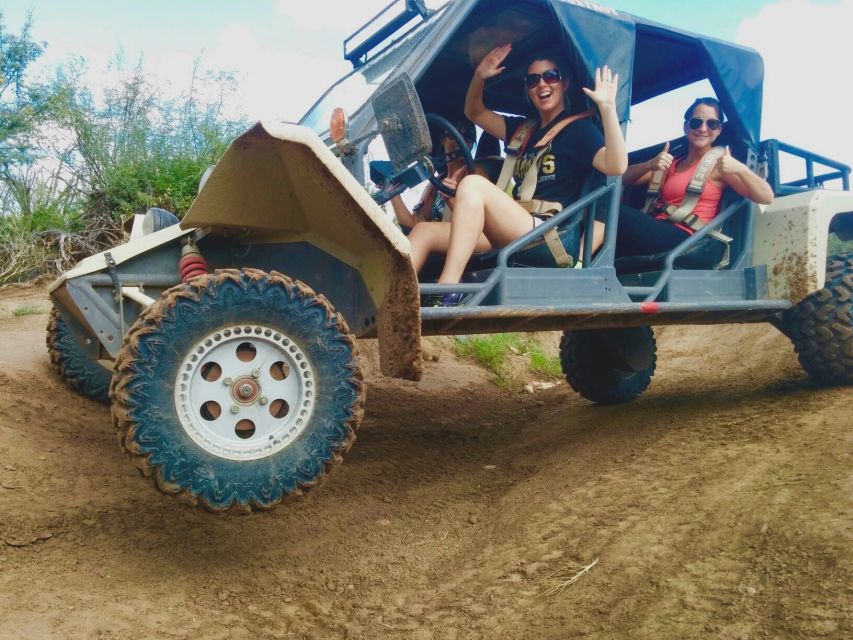 Sonoran Desert Off-Road Tours in Tomcars - Wildlife and Plant Life