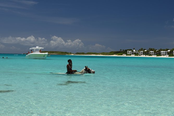 Speed Boat & Snorkeling Tour Pinel & Tintamarre Islands for CRUISE SHIP GUESTS - Exploring Tintamarre Island