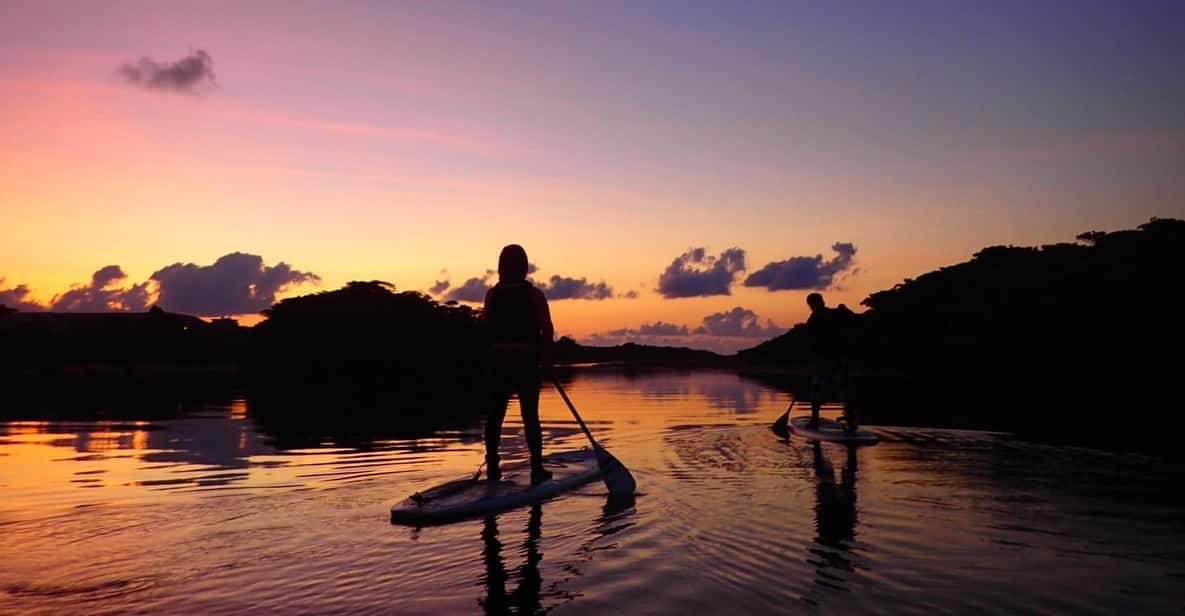 Stand Up Paddleboard: Amazing Sunrise at Mangrove River - Important Information