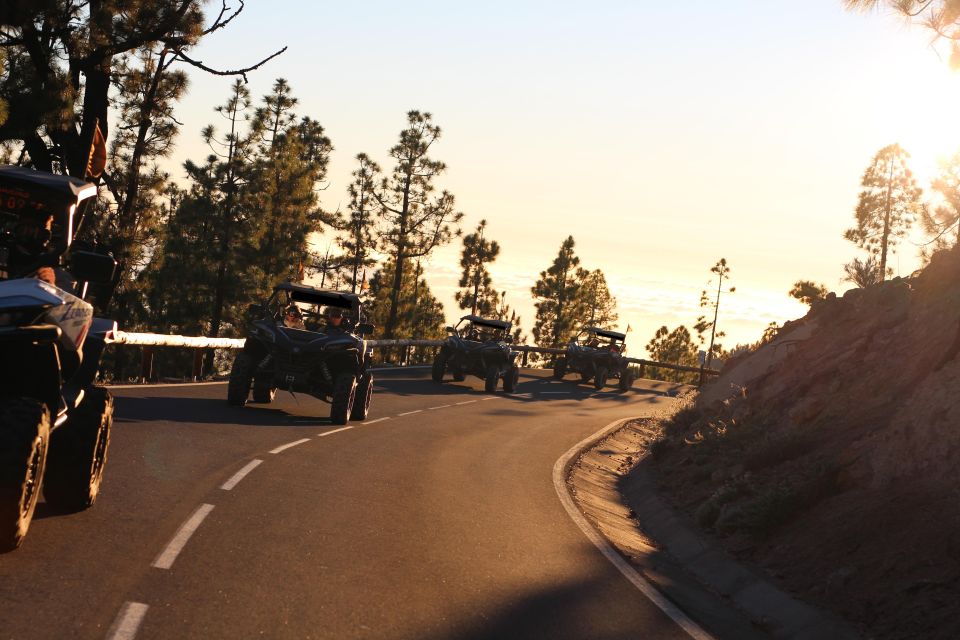 Tenerife: Teide National Park Guided Morning Buggy Tour - Guided Experience