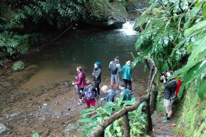 The Great Waterfalls Hiking Tour - Exploring Northeast Sao Miguel