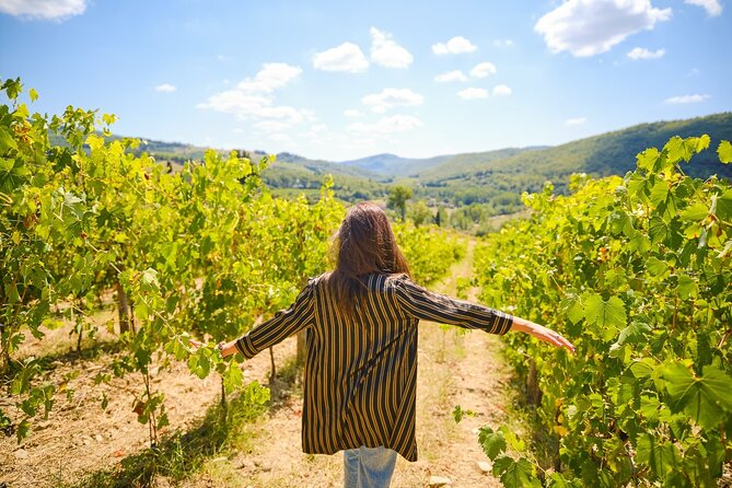 The Town of Fine Towers: San Gimignano and Its Vernaccia Wine - Tour Guide Effectiveness