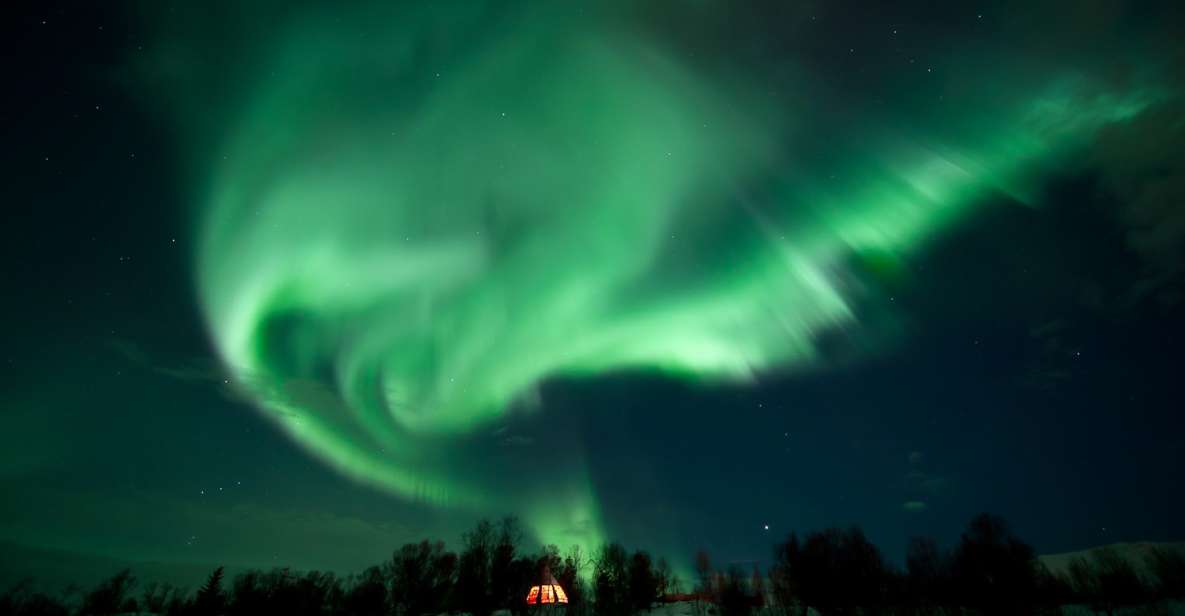 Tromsø: Northern Lights Husky Visit With Traditional Dinner - Transportation