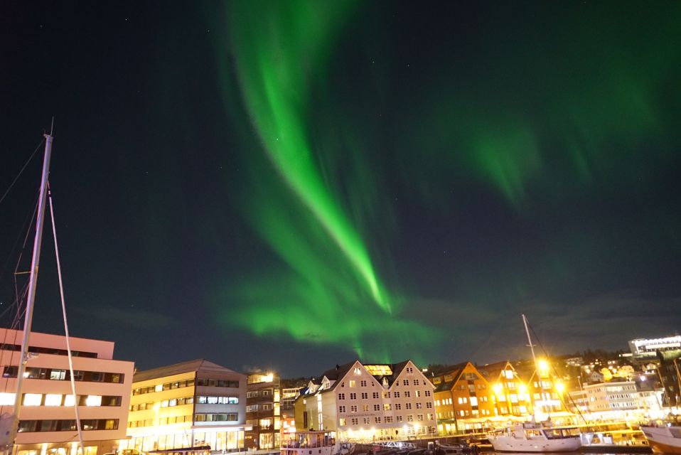 Tromsø: Northern Lights Luxury Catamaran Cruise - Meeting Point and Arrival