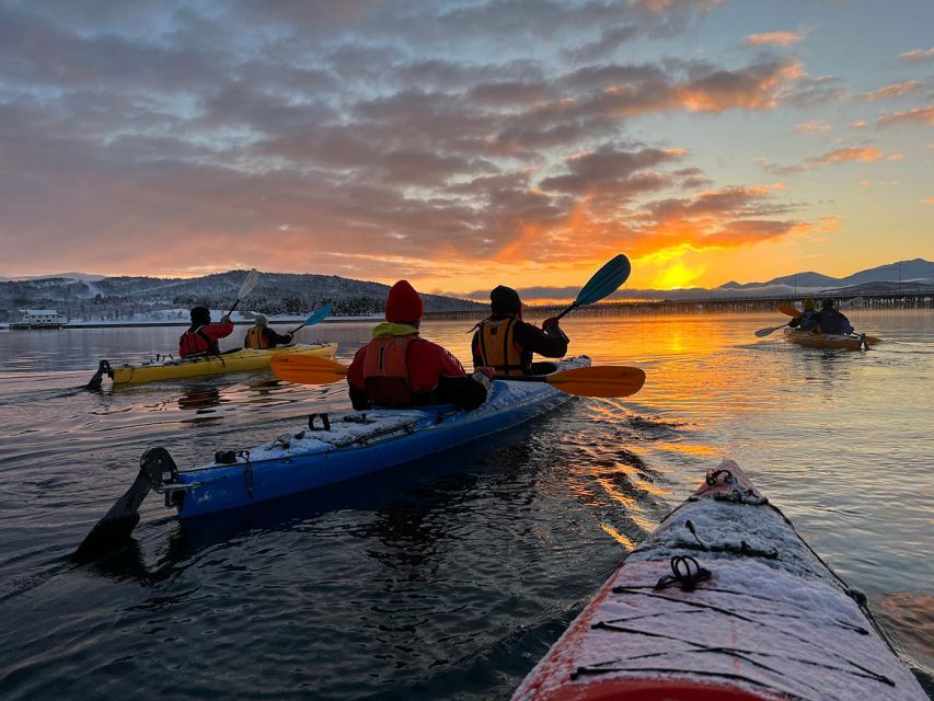 Tromsø: Winter Sea Kayaking Tour With Wildlife Sightings - Prepare for the Adventure