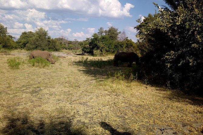 White Rhino Walk in the Mosi Oa Tunya - Booking Flexibility