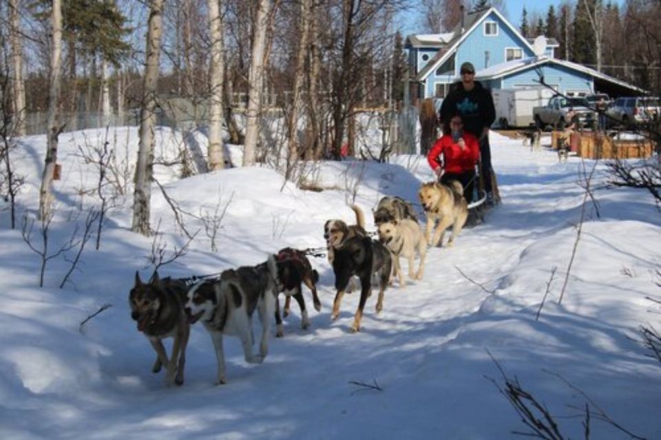 Willow: Traditional Alaskan Dog Sledding Ride - Unsuitable Participants