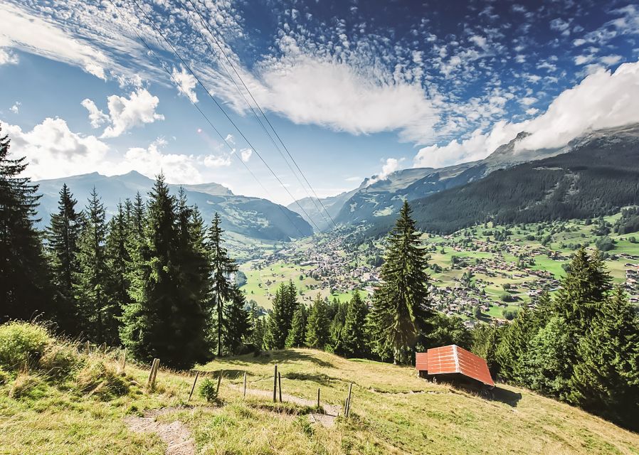 Zurich: Day Trip to Grindelwald & Interlaken by Bus & Train - What to Bring and Not Allowed