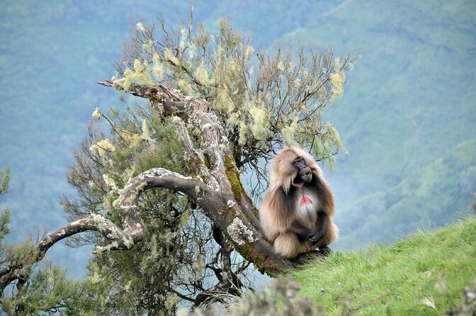 6 Days Tour Package (Simien Mountains, Lalibela, and Danakil Depression) - Key Points