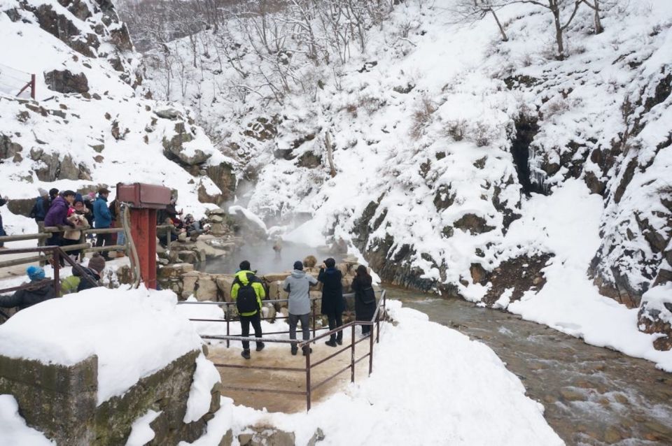 1 Day Tour: Snow Monkeys & Snow Fun Review - Jigokudani Monkey Park