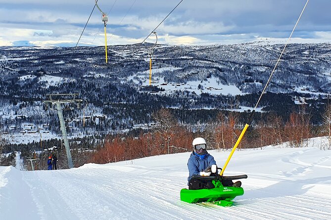 2-Hour Racing Toboggan at Dagali Fjellpark Near Geilo in Norway - Pricing and Lowest Price Guarantee