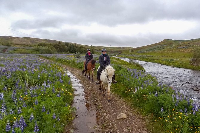 3 Hour Private Horse Riding Tour in Mosfellsdalur - Important Considerations