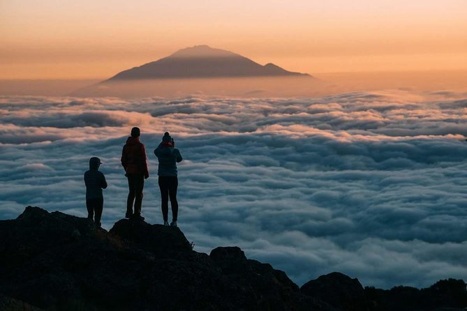 6-Day Rongai Route Trek in Mount Kilimanjaro - Guides and Support Staff