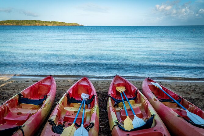 All Day Kayak Rental in Puerto Rico - Memorable Outdoor Experience