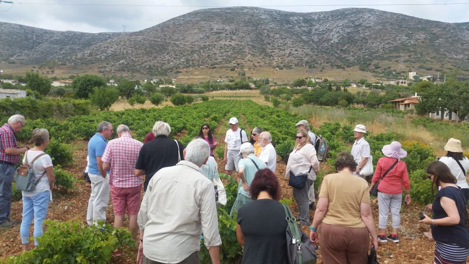 Athens: Private Wine Tour and Lunch at the Seaside - Booking and Cancellation