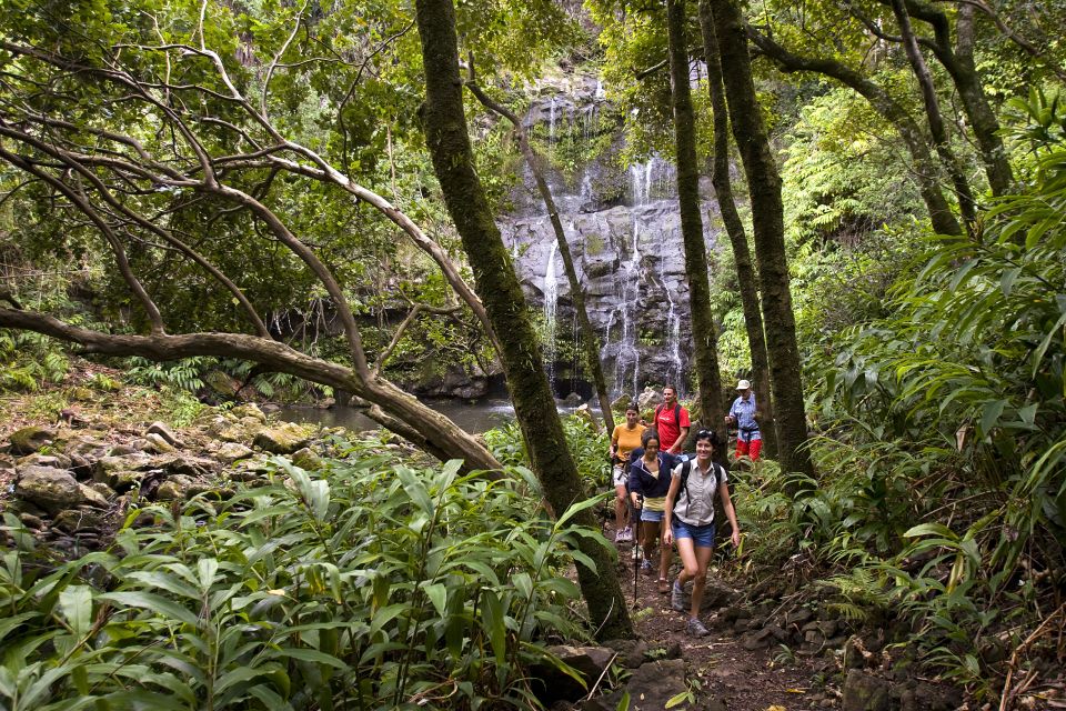 Big Island: Full Day Adventure Tour of the Kohala Waterfalls - Picnic Lunch