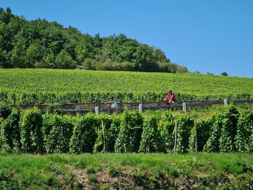 Burgundy: Fantastic 2-Day Cycling Tour With Wine Tasting - Included Amenities