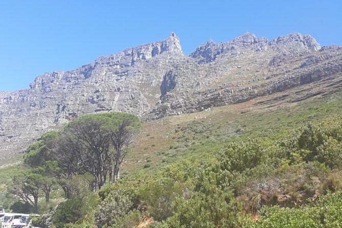 Cape Town Halfday City and Table Mountain Tour - Table Mountain Adventure