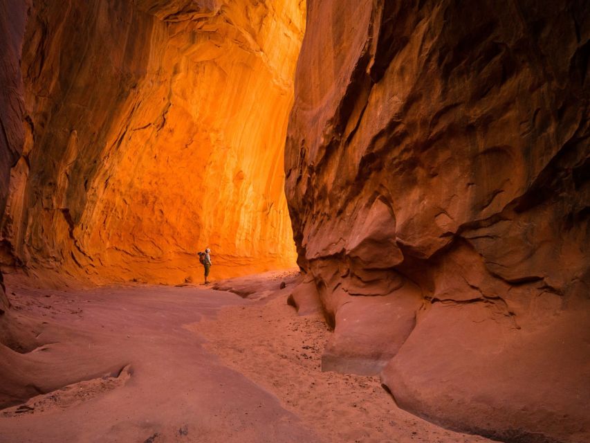 Capitol Reef National Park Canyoneering Adventure - Canyoneering Equipment and Orientation Included