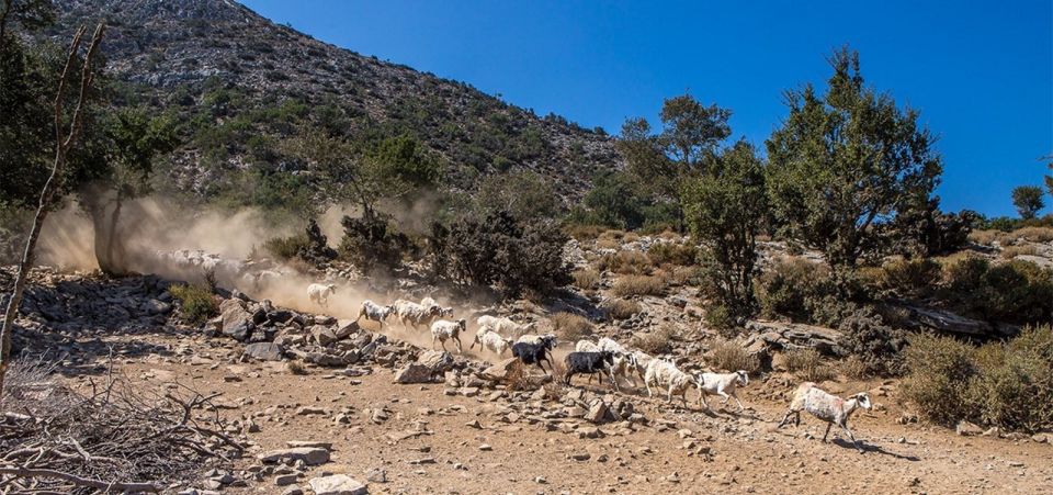 Chania: White Mountains Safari Tour With Lunch and Tastings - Pickup Locations