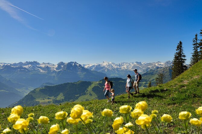 Day Trip to Lucerne and Mount Stanserhorn Including CabriO Cable Car Ride - Exploration of Marmot Park